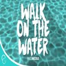 Image of blue water with "Walk on the Water" and "Britt Nicole" overlayed in in white - My Christian Musician