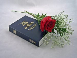 the book of Mormon and a rose