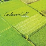 Image of green crops is cover of Caedmon's Call, Contemporary Christian Band, 40 Acres AlbumThankful song by Caedmon's Call
