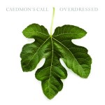 Green fig leaf on white background is cover image of Caedmon's Call, Contemporary Christian Band, album "Overdressed" - There Is A Reason song by Caedmon's Call