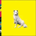 White wolf in the center of a yellow background as a cover art for David Crowder's album, Neon Porch Extravaganza - My Christian Musician